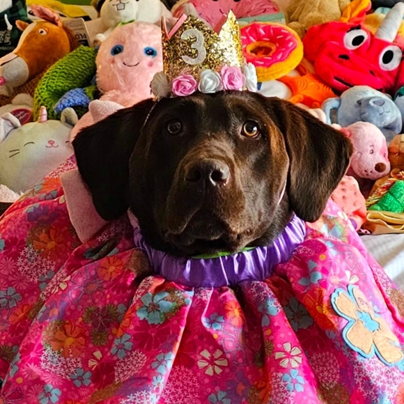 A bit of this and that! - Picture 2 of 4